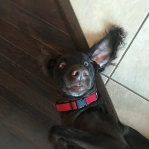 Meet your Posher, Ellie